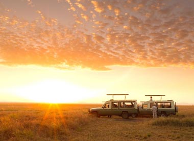 Safari Destination