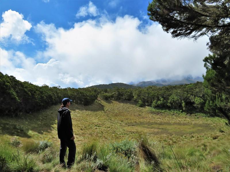 Mandara Hut Day Hike