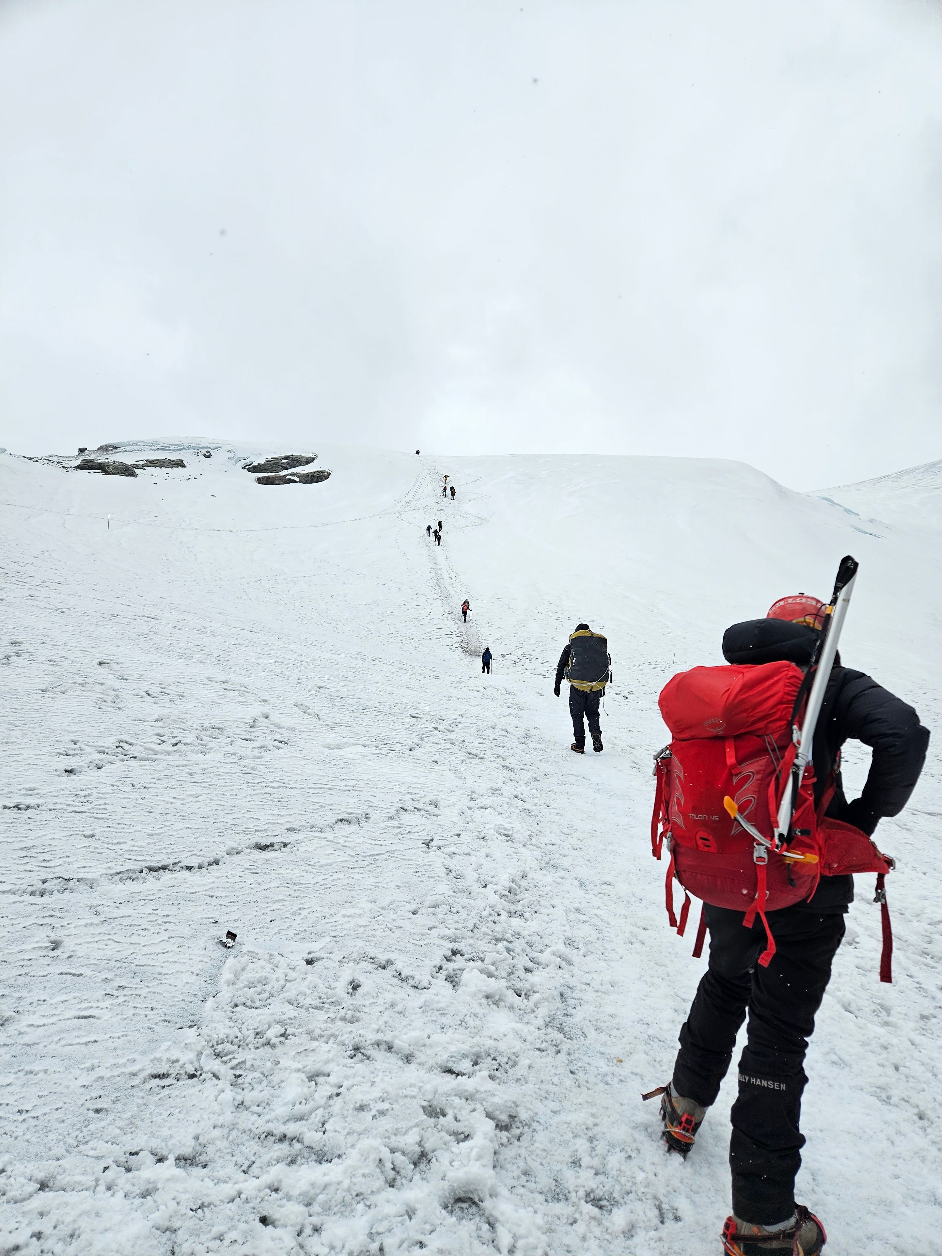 Hikers walking uphill on a Mount Kilimanjaro trail