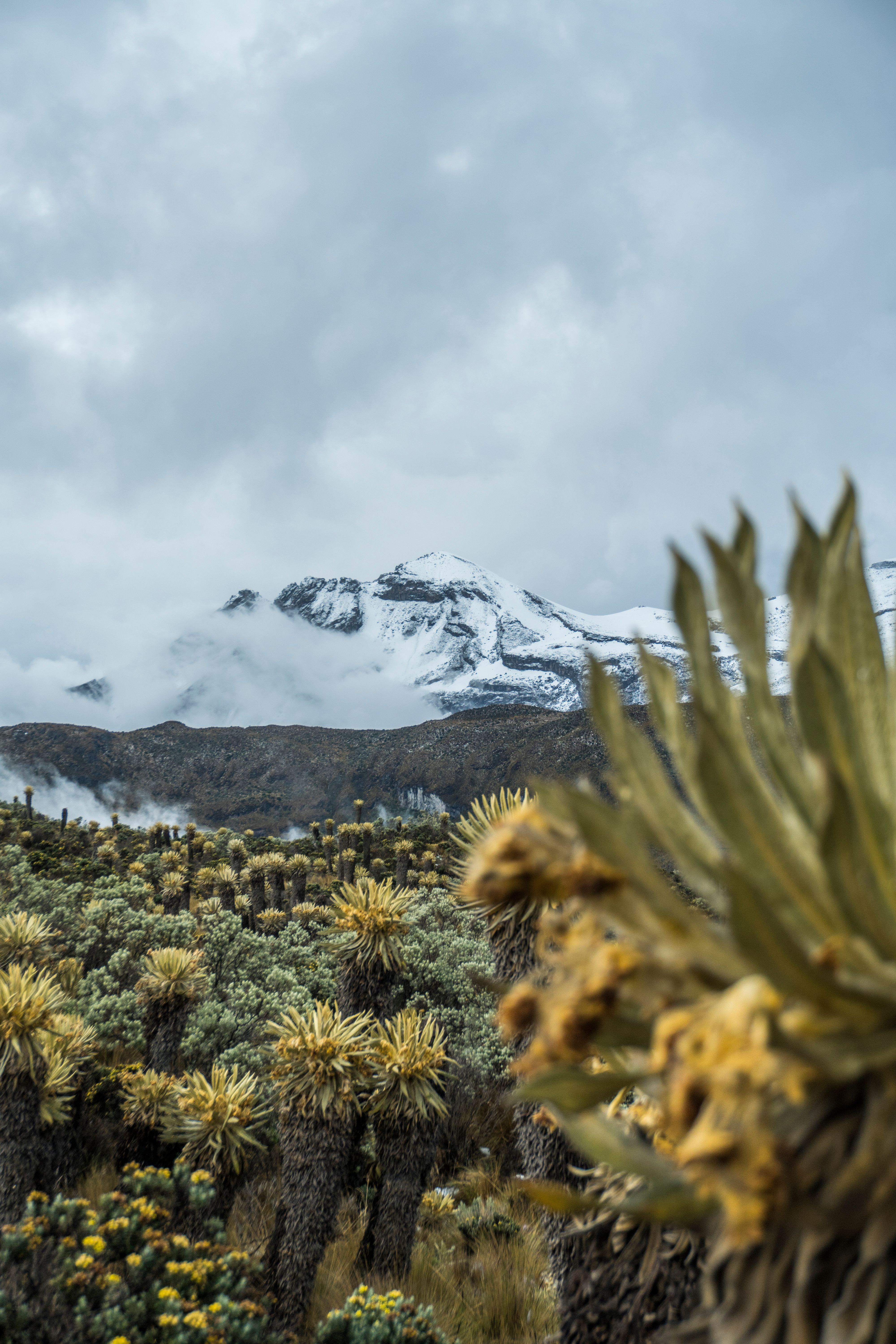 Machame Route on Mount Kilimanjaro