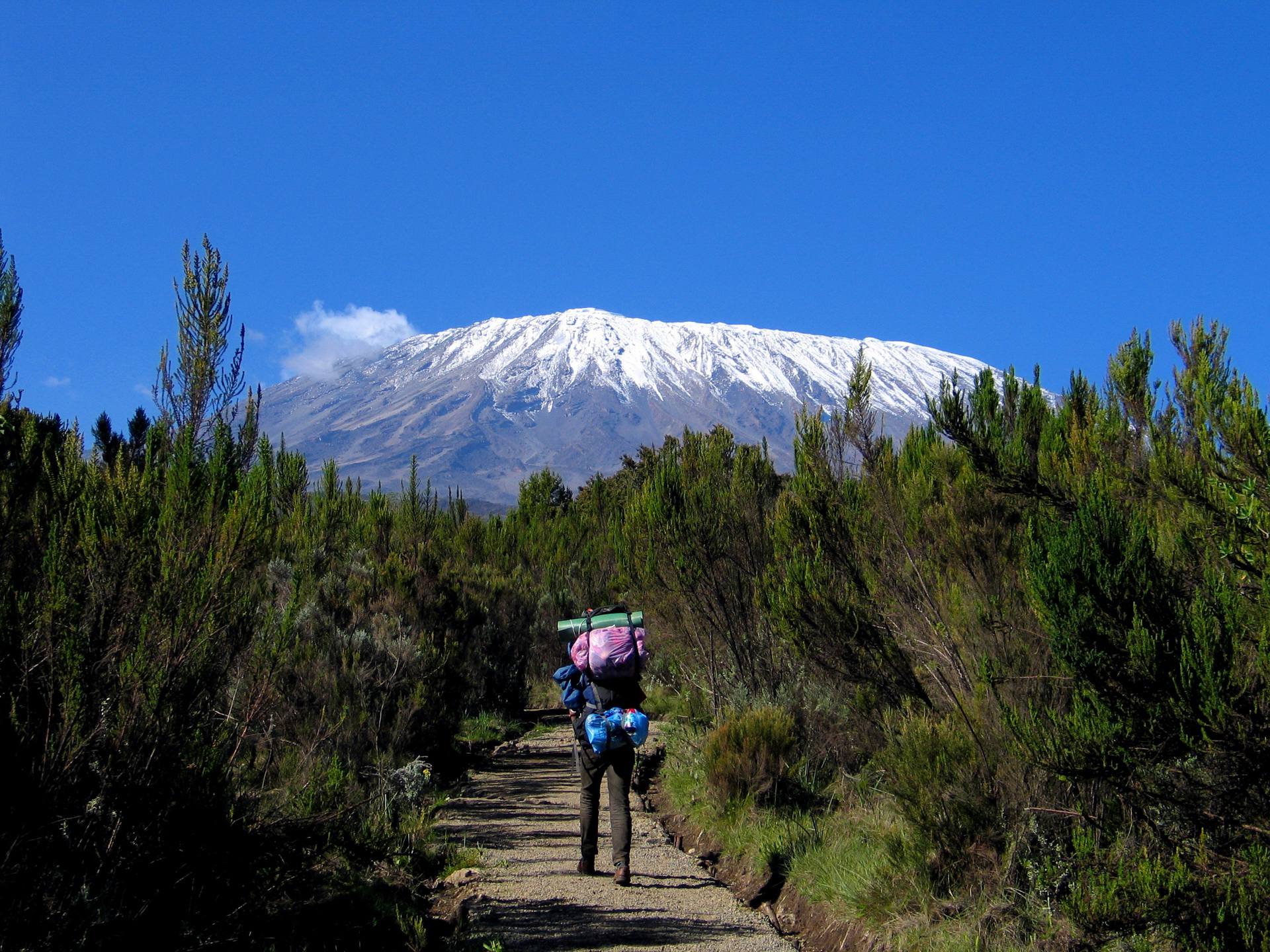 Rongai Route on Mount Kilimanjaro