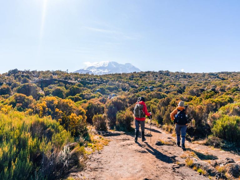 Umbwe Route on Mount Kilimanjaro